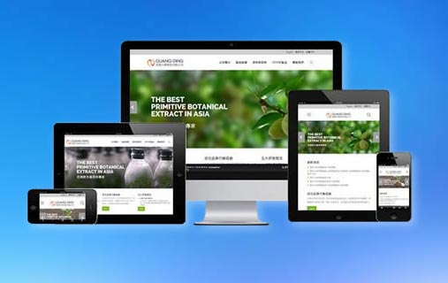 網站建設新聞推廣的發布